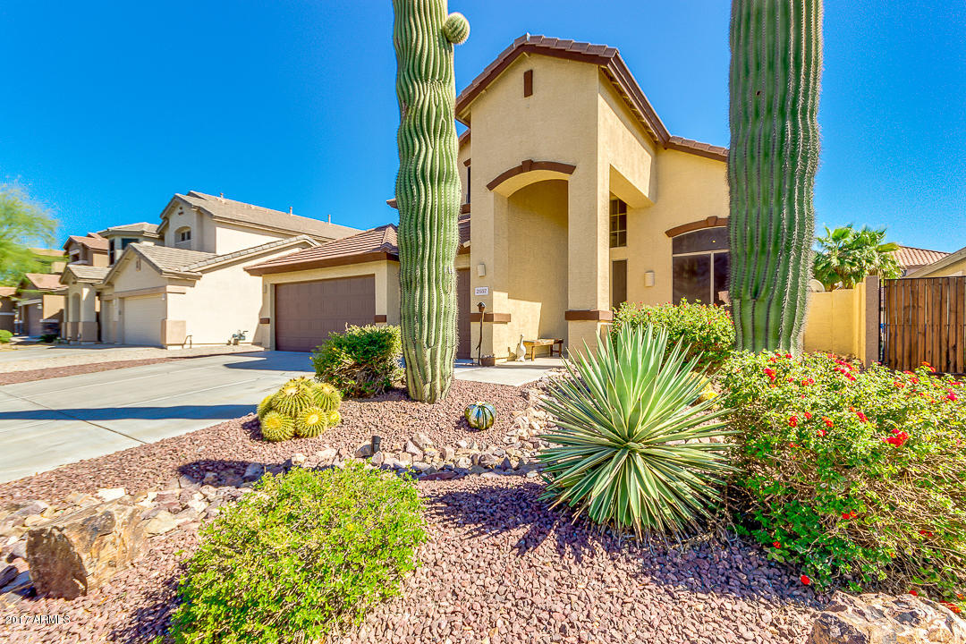 2037 S Archer --, Mesa, AZ 85209 photo 3