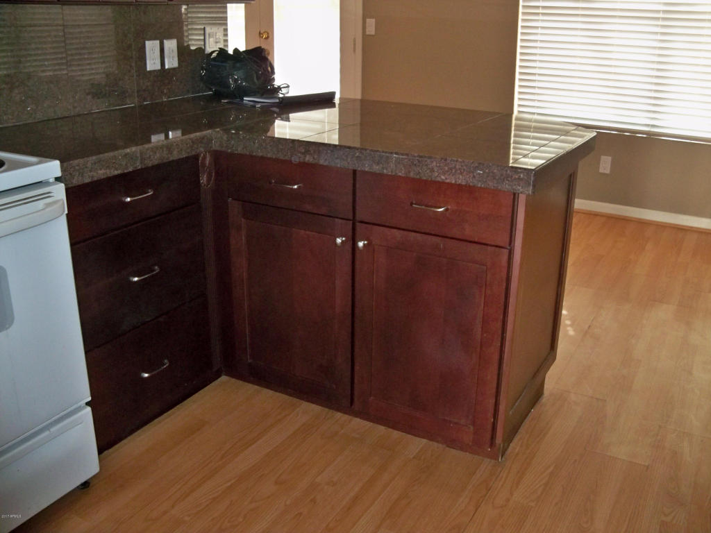 1249 E Taro Ln, Phoenix, AZ 85024 photo 8