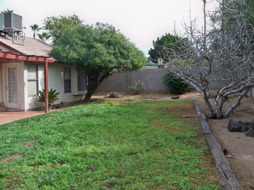 1249 E Taro Ln, Phoenix, AZ 85024 photo 18