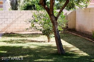 4489 E Apricot Ln, Gilbert, AZ 85298 photo 28