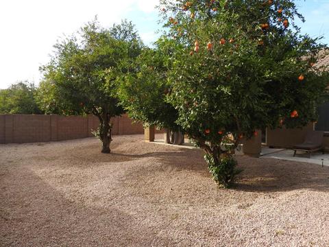 3925 Ellis St, Mesa, AZ 85205 photo 37