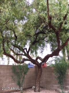 3002 E Redwood Ln, Phoenix, AZ 85048 photo 42