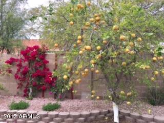 3002 E Redwood Ln, Phoenix, AZ 85048 photo 52