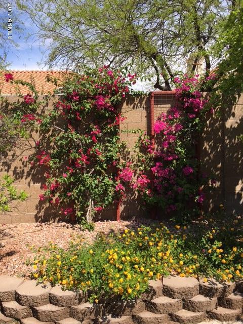 3002 E Redwood Ln, Phoenix, AZ 85048 photo 55
