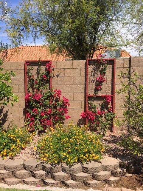 3002 E Redwood Ln, Phoenix, AZ 85048 photo 56