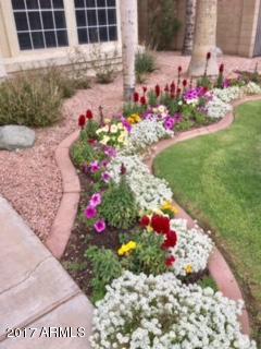 3002 E Redwood Ln, Phoenix, AZ 85048 photo 7