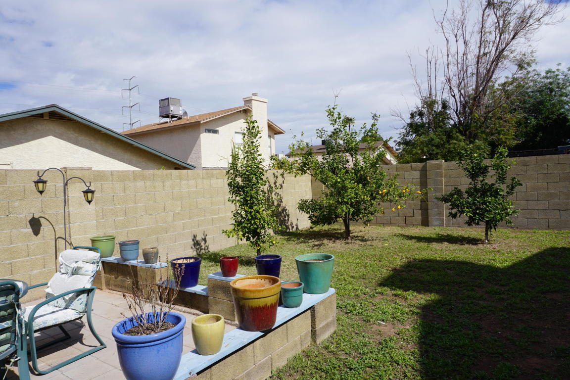 4040 E Contessa St, Mesa, AZ 85205 photo 46