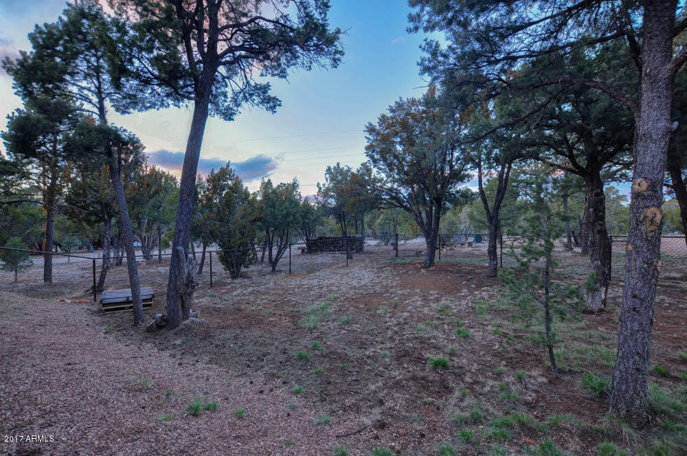 3340 Cedar Dr, Overgaard, AZ 85933 photo 34