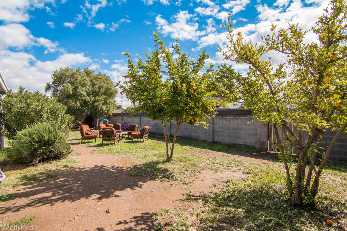 3541 E Sunnyside Dr, Phoenix, AZ 85028 photo 9