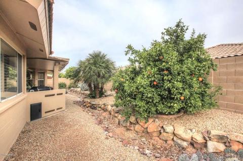 10858 E Lindner Ave, Mesa, AZ 85209 photo 21