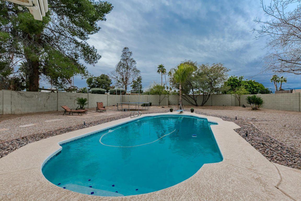 3631 E Garden Dr, Phoenix, AZ 85028 photo 5