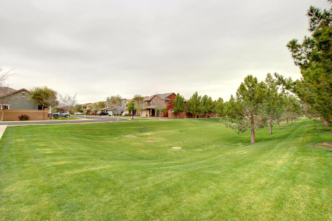 3624 E Mesquite St, Gilbert, AZ 85296 photo 4