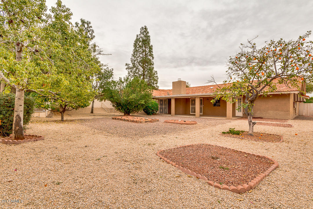 836 E Forest Hills Dr, Phoenix, AZ 85022 photo 39