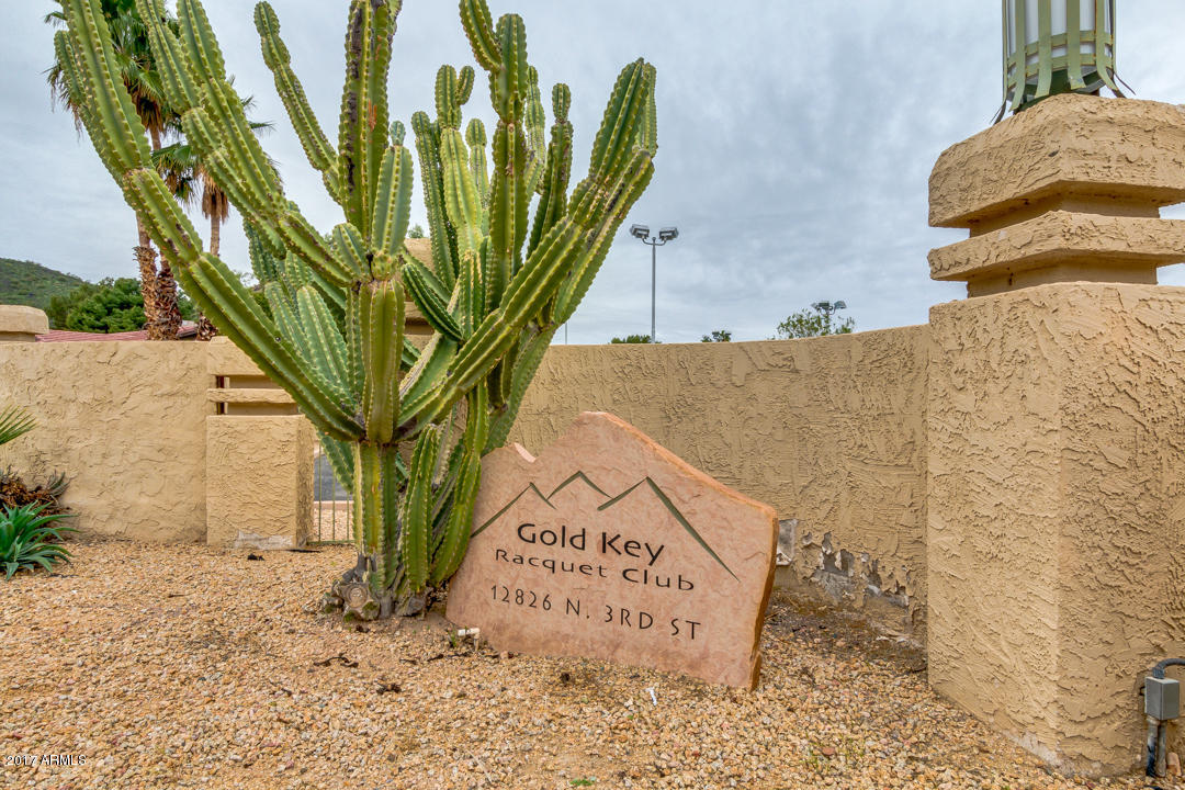 17 E Aster Dr, Phoenix, AZ 85022 photo 63