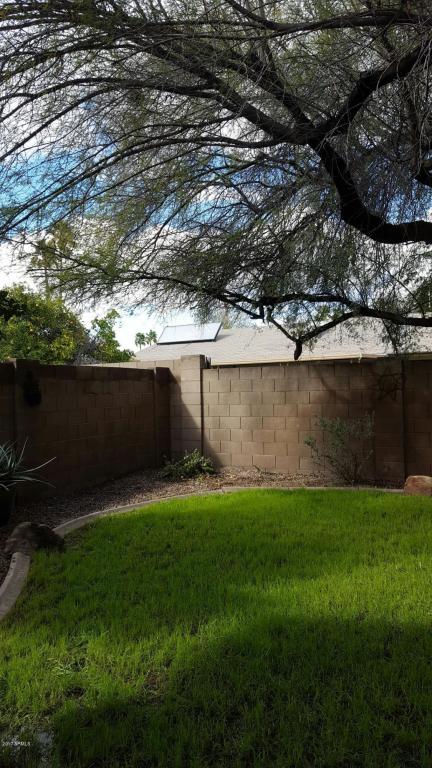 3046 E Roveen Ave, Phoenix, AZ 85032 photo 19