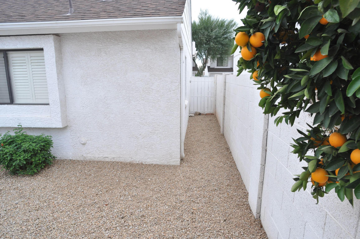 3228 E Clark Rd, Phoenix, AZ 85050 photo 23