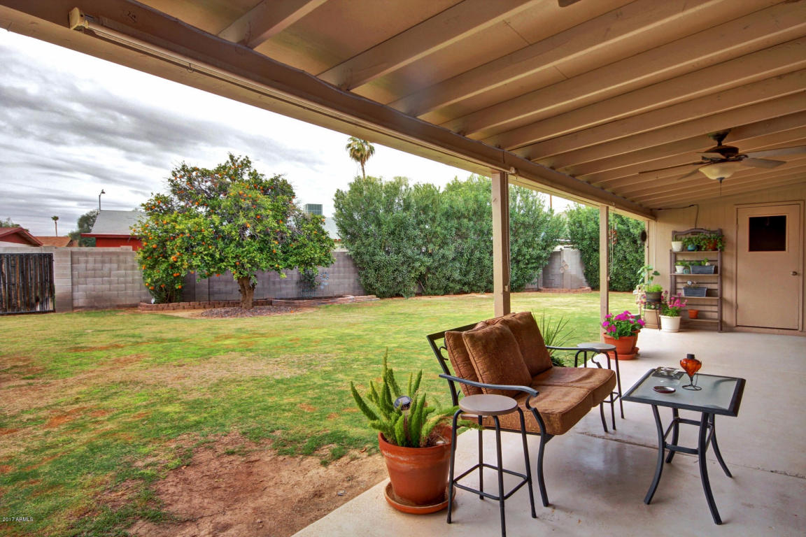 3009 E Sweetwater Ave, Phoenix, AZ 85032 photo 29