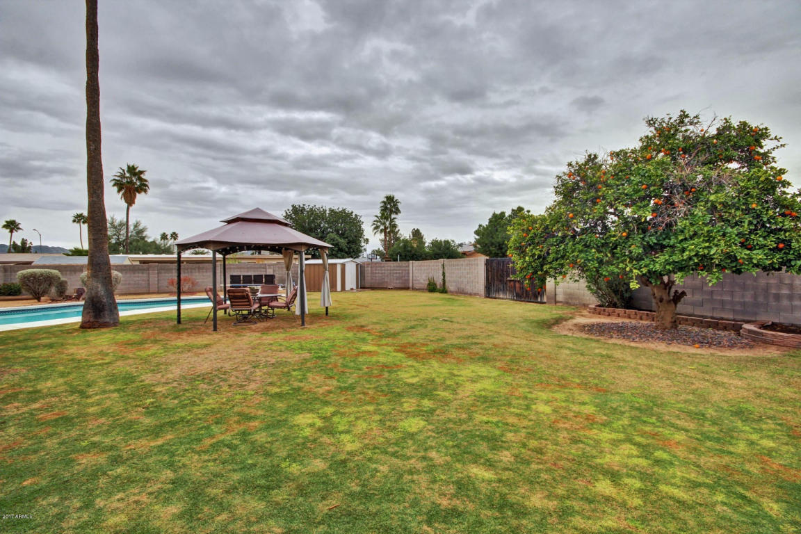 3009 E Sweetwater Ave, Phoenix, AZ 85032 photo 22
