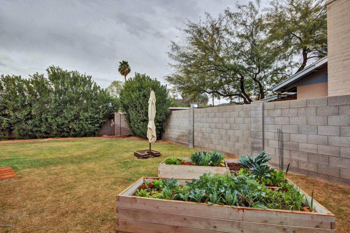 3009 E Sweetwater Ave, Phoenix, AZ 85032 photo 24