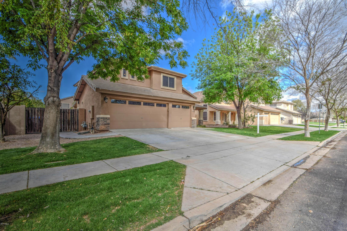 3260 E Cullumber St, Gilbert, AZ 85234 photo 3
