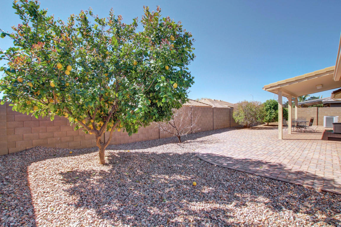 11029 E Nichols Ave, Mesa, AZ 85209 photo 28