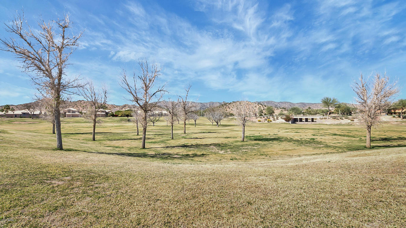 15846 S 29th St, Phoenix, AZ 85048 photo 36