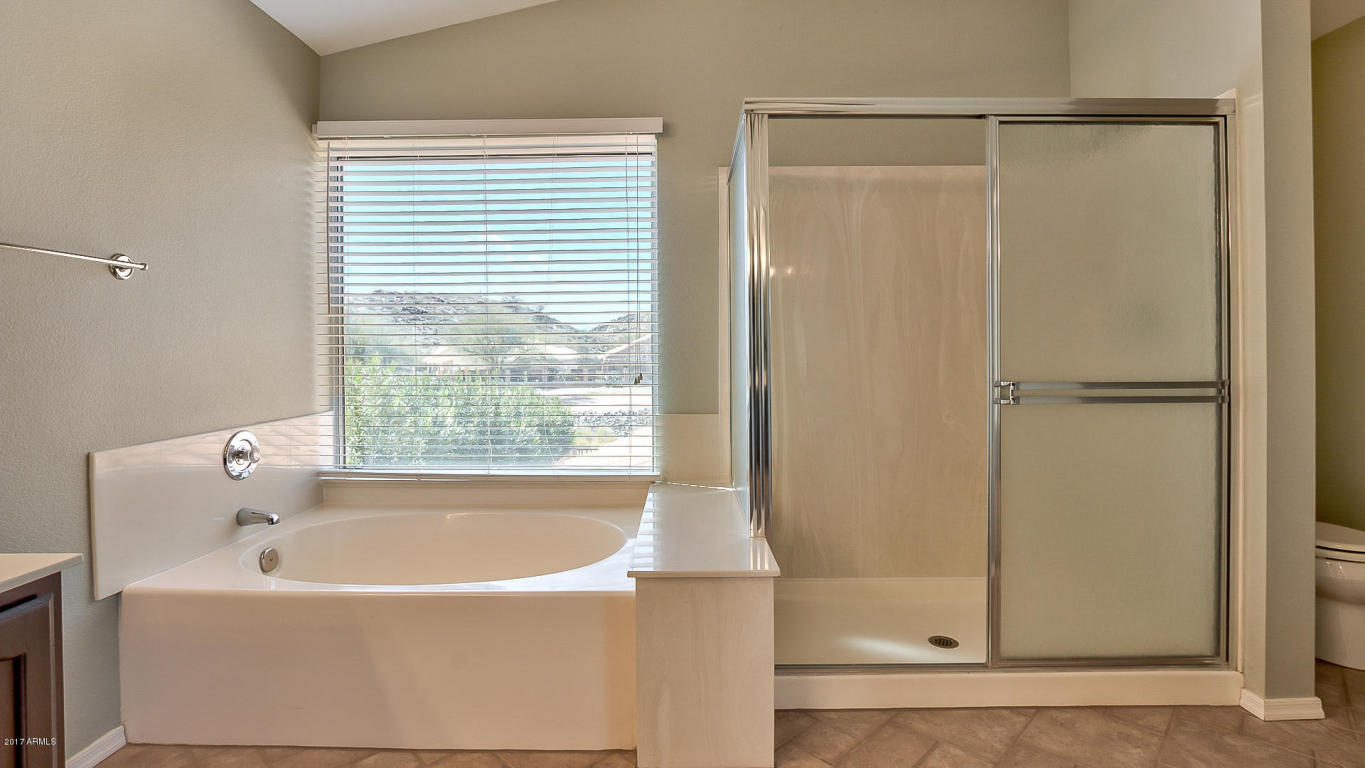 15846 S 29th St, Phoenix, AZ 85048 photo 20