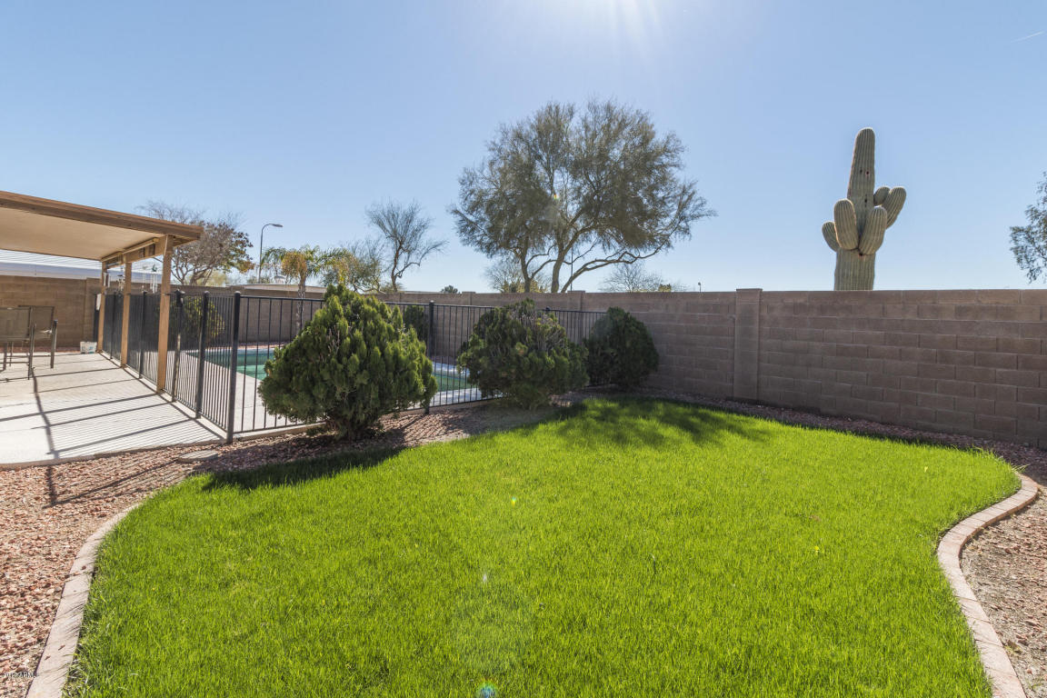 1067 W 15th Ln, Apache Junction, AZ 85120 photo 15