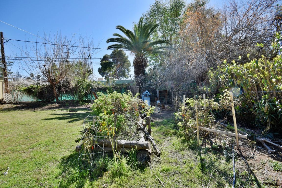 729 E 3rd St, Mesa, AZ 85203 photo 27