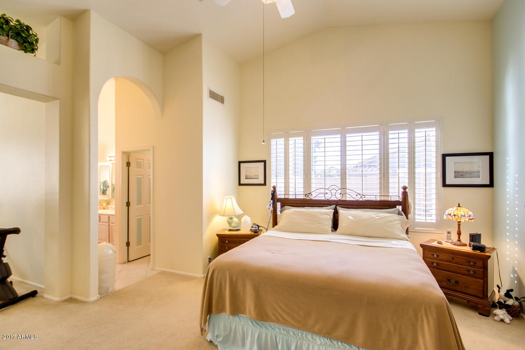 7231 E Lobo Ave, Mesa, AZ 85209 photo 20