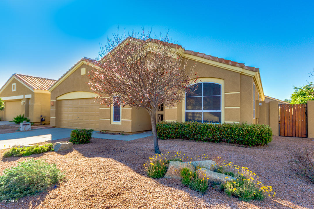 7231 E Lobo Ave, Mesa, AZ 85209 photo 3
