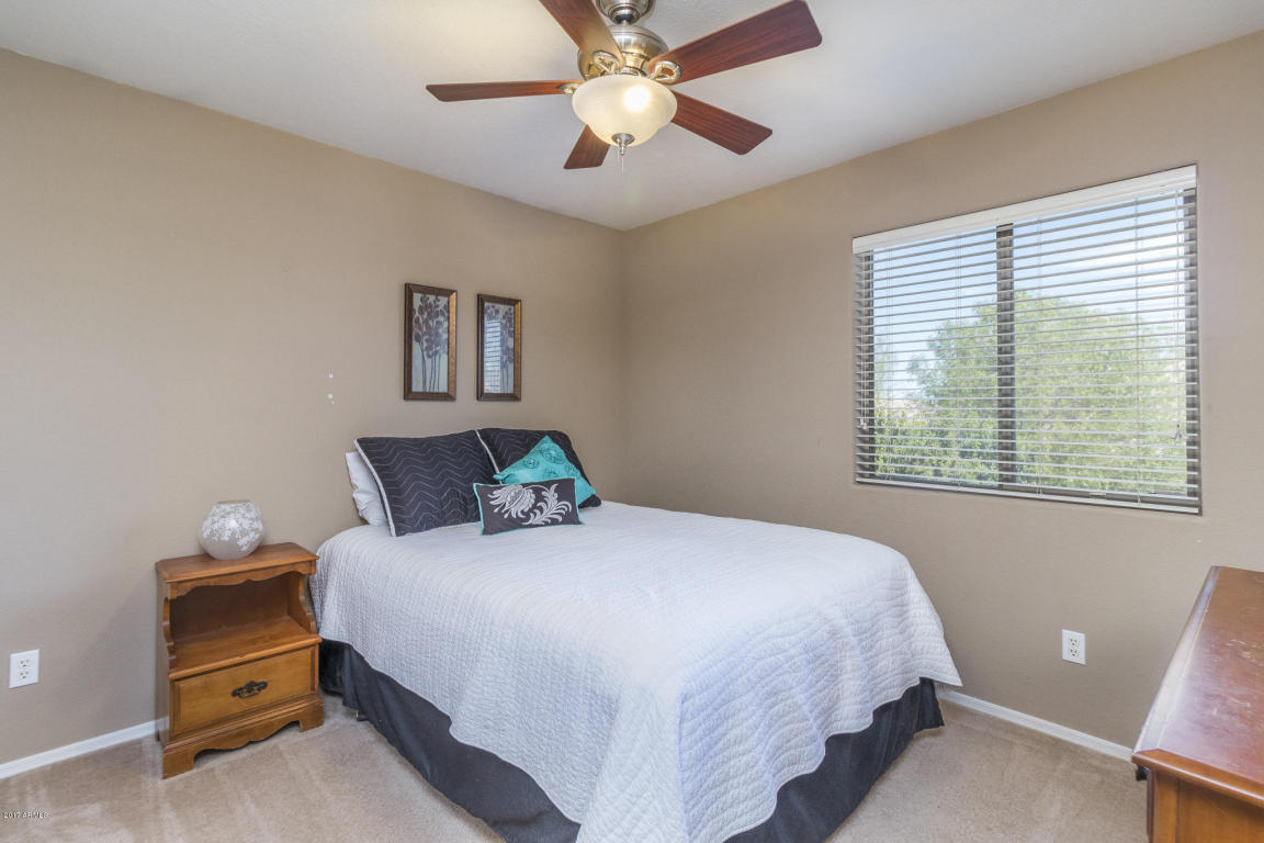 3890 E Page Ave, Gilbert, AZ 85234 photo 15