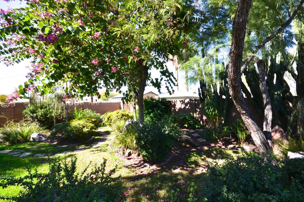 342 W Windsor Ave, Phoenix, AZ 85003 photo 28