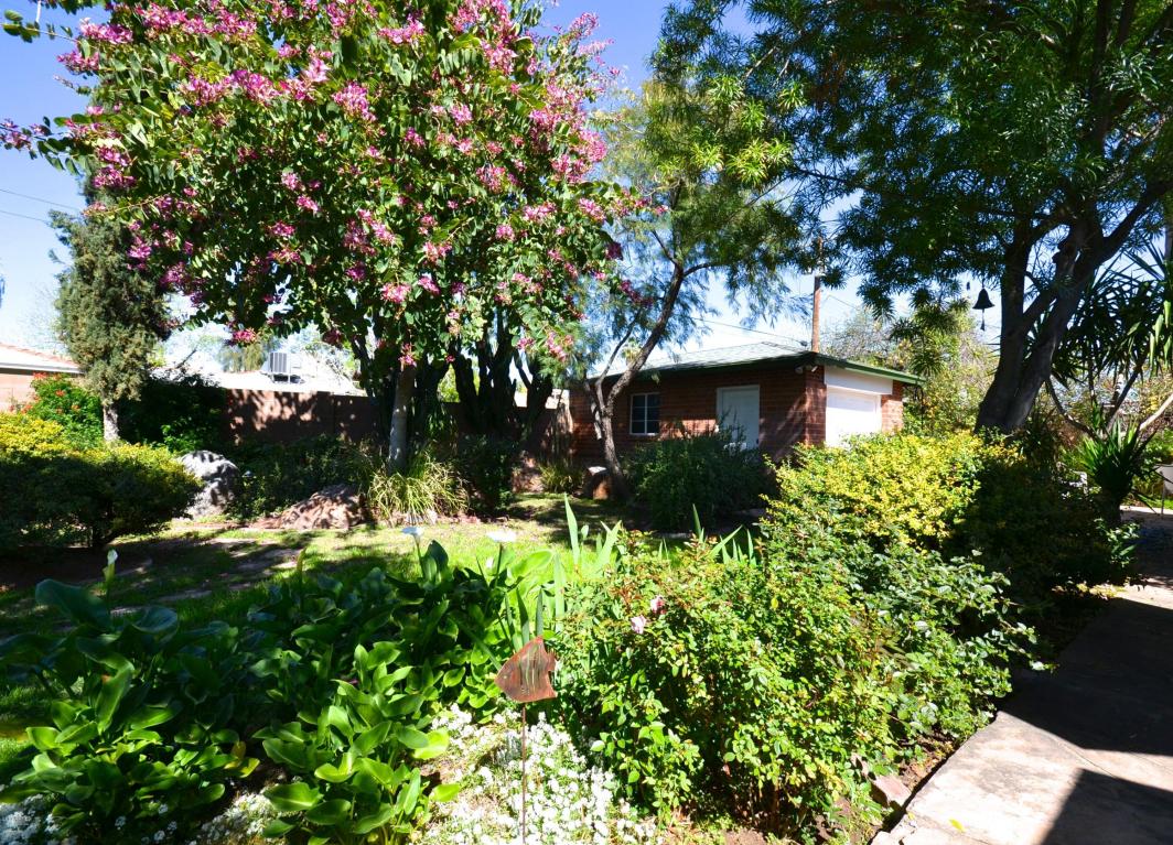 342 W Windsor Ave, Phoenix, AZ 85003 photo 31