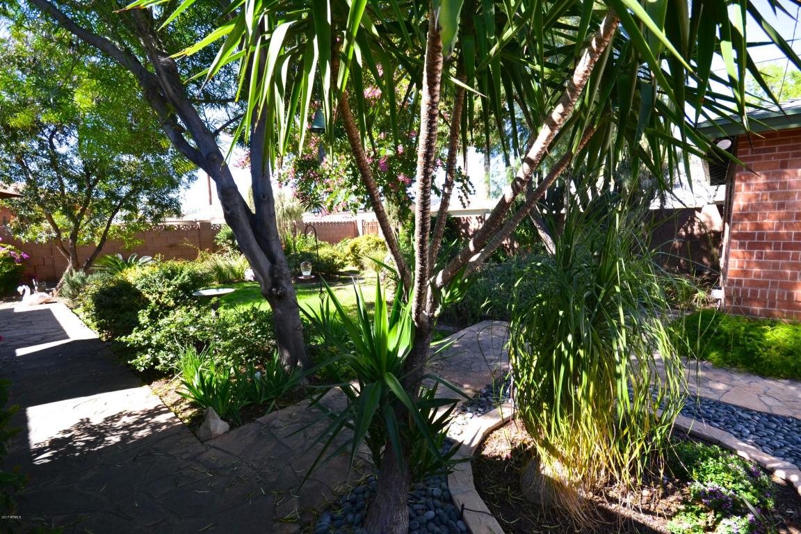 342 W Windsor Ave, Phoenix, AZ 85003 photo 29