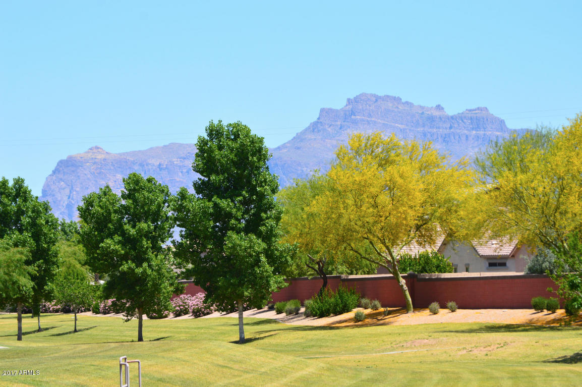 10746 E Lobo Ave, Mesa, AZ 85209 photo 40
