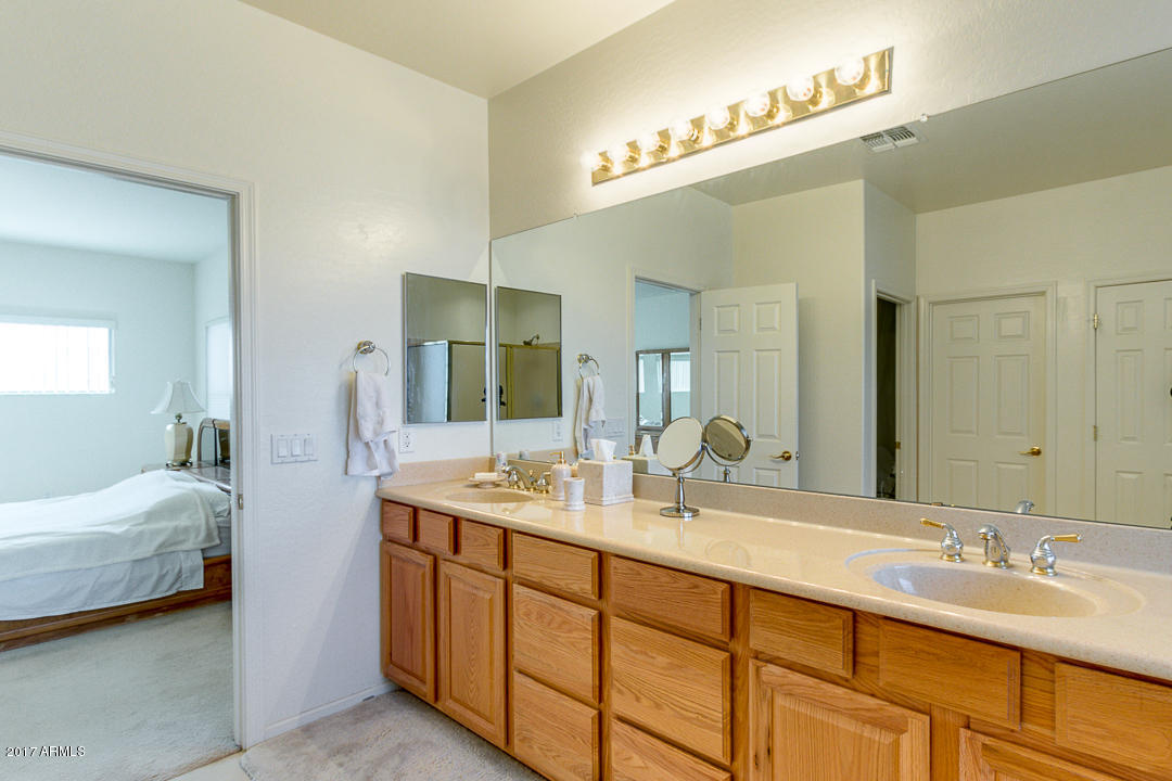 10746 E Lobo Ave, Mesa, AZ 85209 photo 29