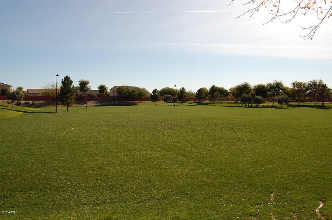10746 E Lobo Ave, Mesa, AZ 85209 photo 44