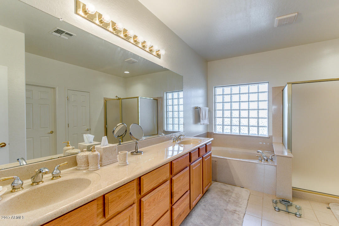 10746 E Lobo Ave, Mesa, AZ 85209 photo 27