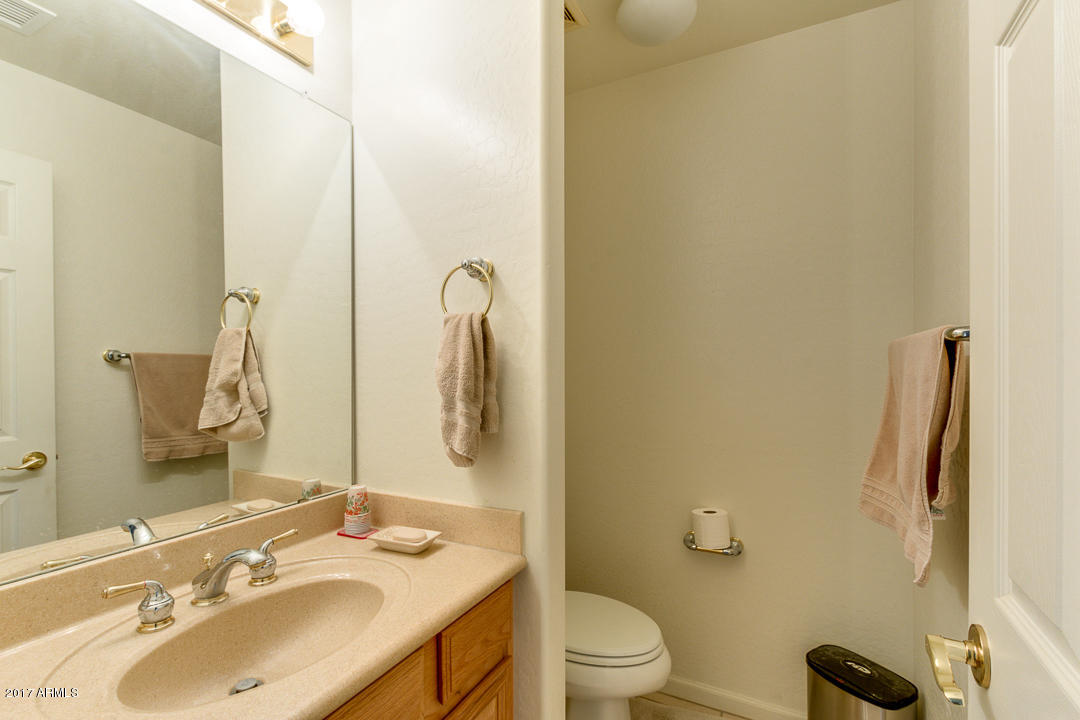 10746 E Lobo Ave, Mesa, AZ 85209 photo 19