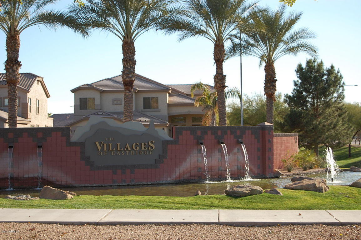 10746 E Lobo Ave, Mesa, AZ 85209 photo 41
