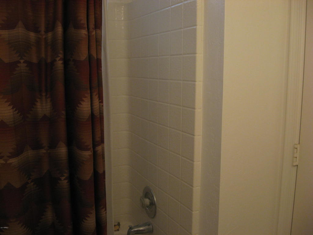 973 W Mesquite Ave, Apache Junction, AZ 85120 photo 13