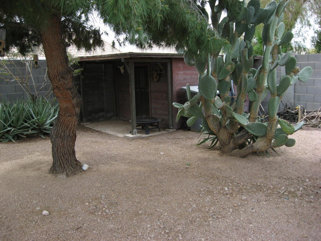 973 W Mesquite Ave, Apache Junction, AZ 85120 photo 23