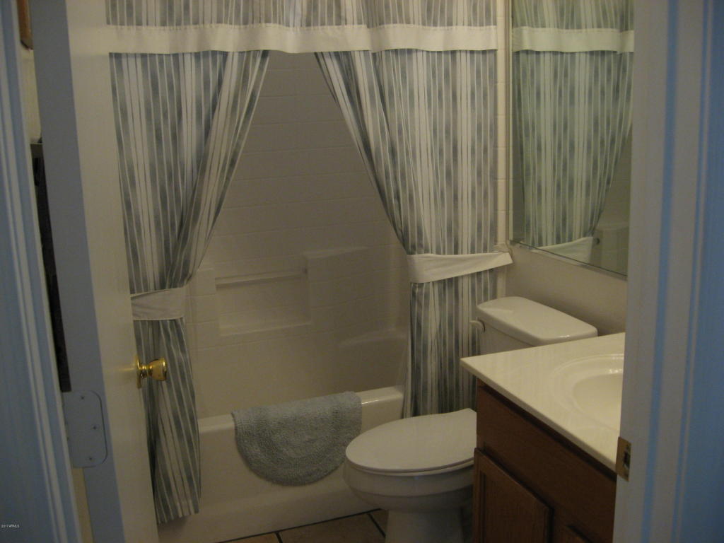 973 W Mesquite Ave, Apache Junction, AZ 85120 photo 17