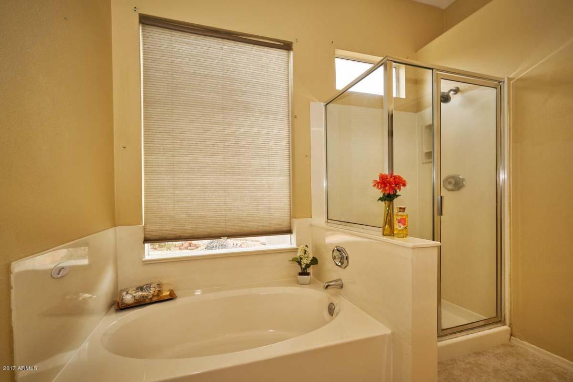 9528 E Irwin Ave, Mesa, AZ 85209 photo 18