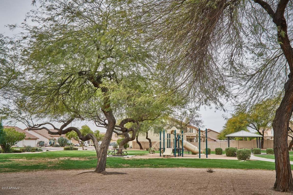 9528 E Irwin Ave, Mesa, AZ 85209 photo 43