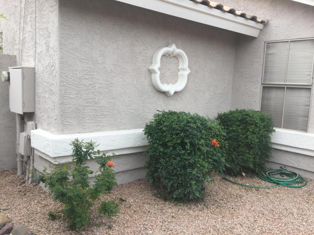 7313 E Medina Ave, Mesa, AZ 85209 photo 8