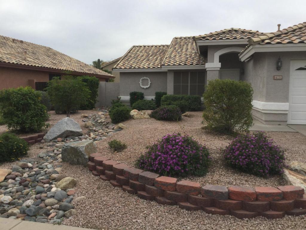 7313 E Medina Ave, Mesa, AZ 85209 photo 5
