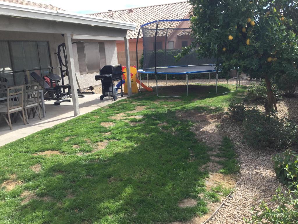 7313 E Medina Ave, Mesa, AZ 85209 photo 34