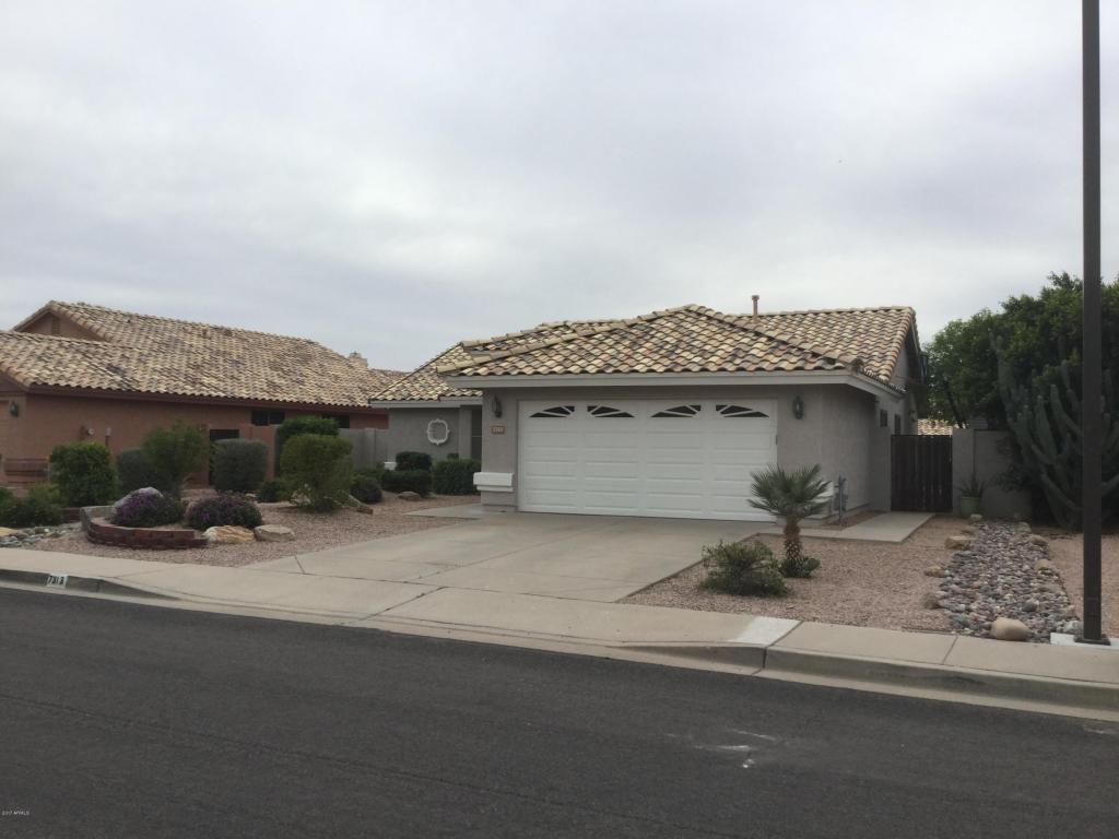 7313 E Medina Ave, Mesa, AZ 85209 photo 3